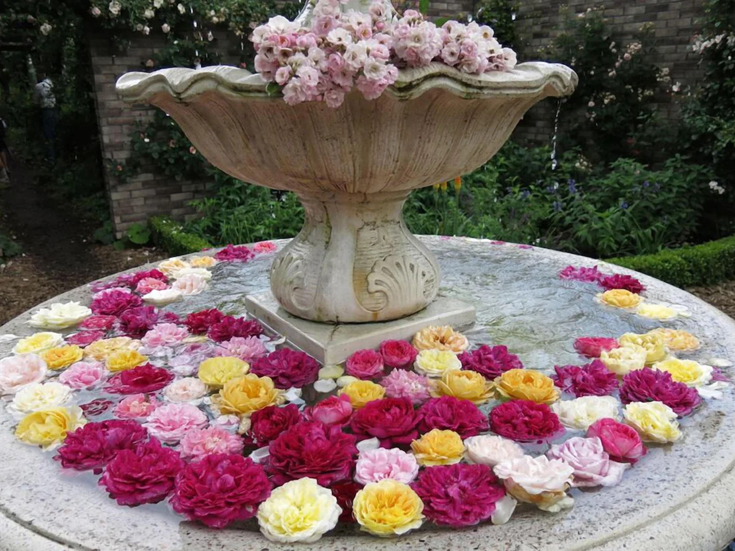 A garden fountain with a decorative basin and a variety of colorful flowers arranged around it.