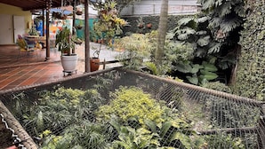 Terrace/patio - YOLO HOSTEL MEDELLIN (Medellín)