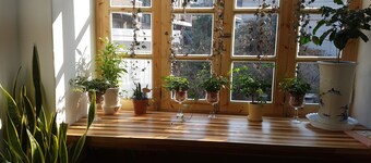 Time Travelers Relax - Hostel (Foreigners Only)