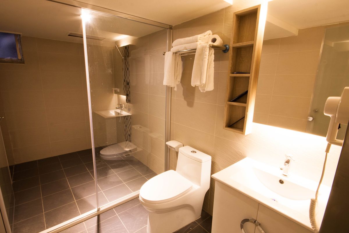 shower, free toiletries, hair dryer, slippers