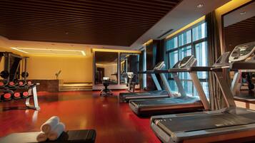 A gym with treadmills, weights, and a bench.