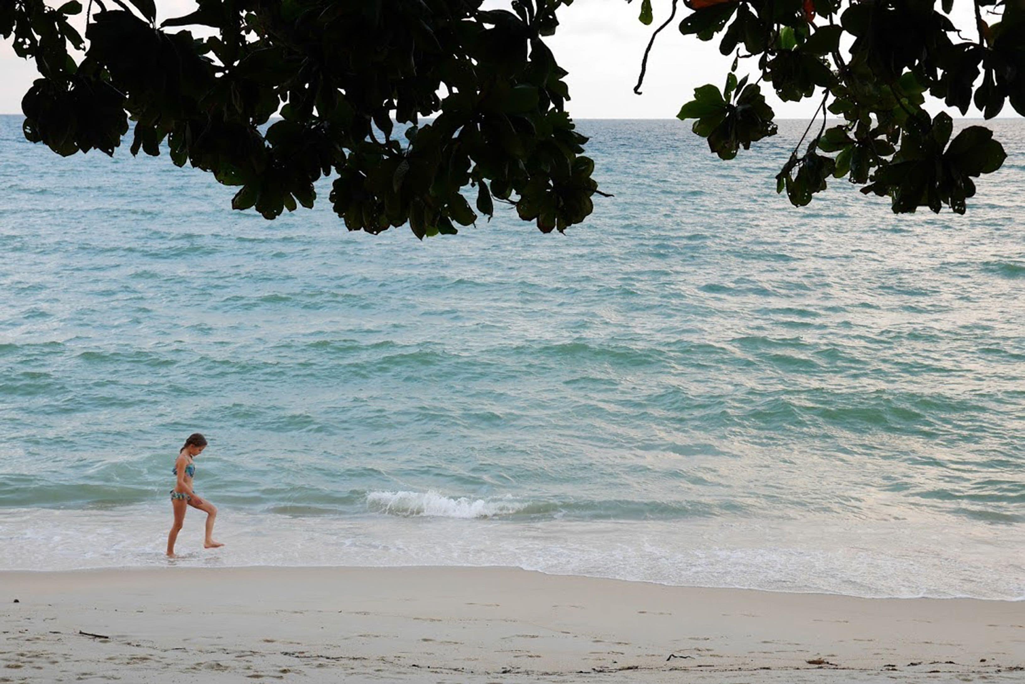 Escena de playa con una persona caminando por la orilla.