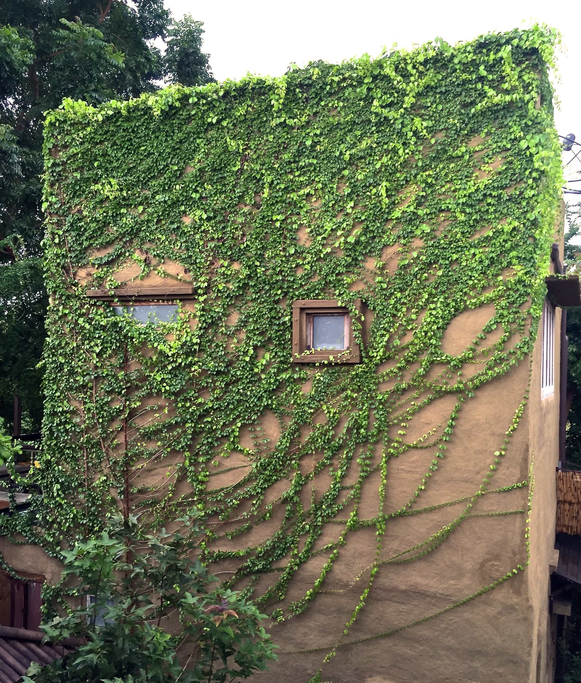 บริเวณภายนอก