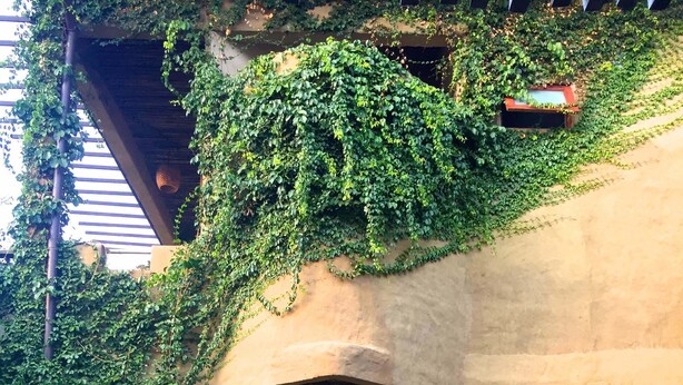 A courtyard with a stone bench, a wooden door, and potted plants. - Pranberry Earth (Pranburi)