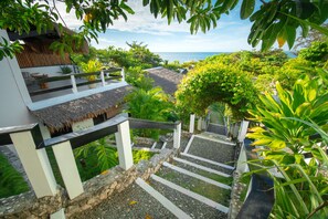 Vista desde la propiedad