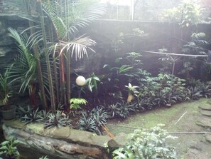 Een weelderige binnentuin met verschillende planten en een kleine vijver.