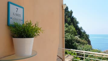A balcony with a potted plant, a sign indicating room number 7, and a view of the sea.