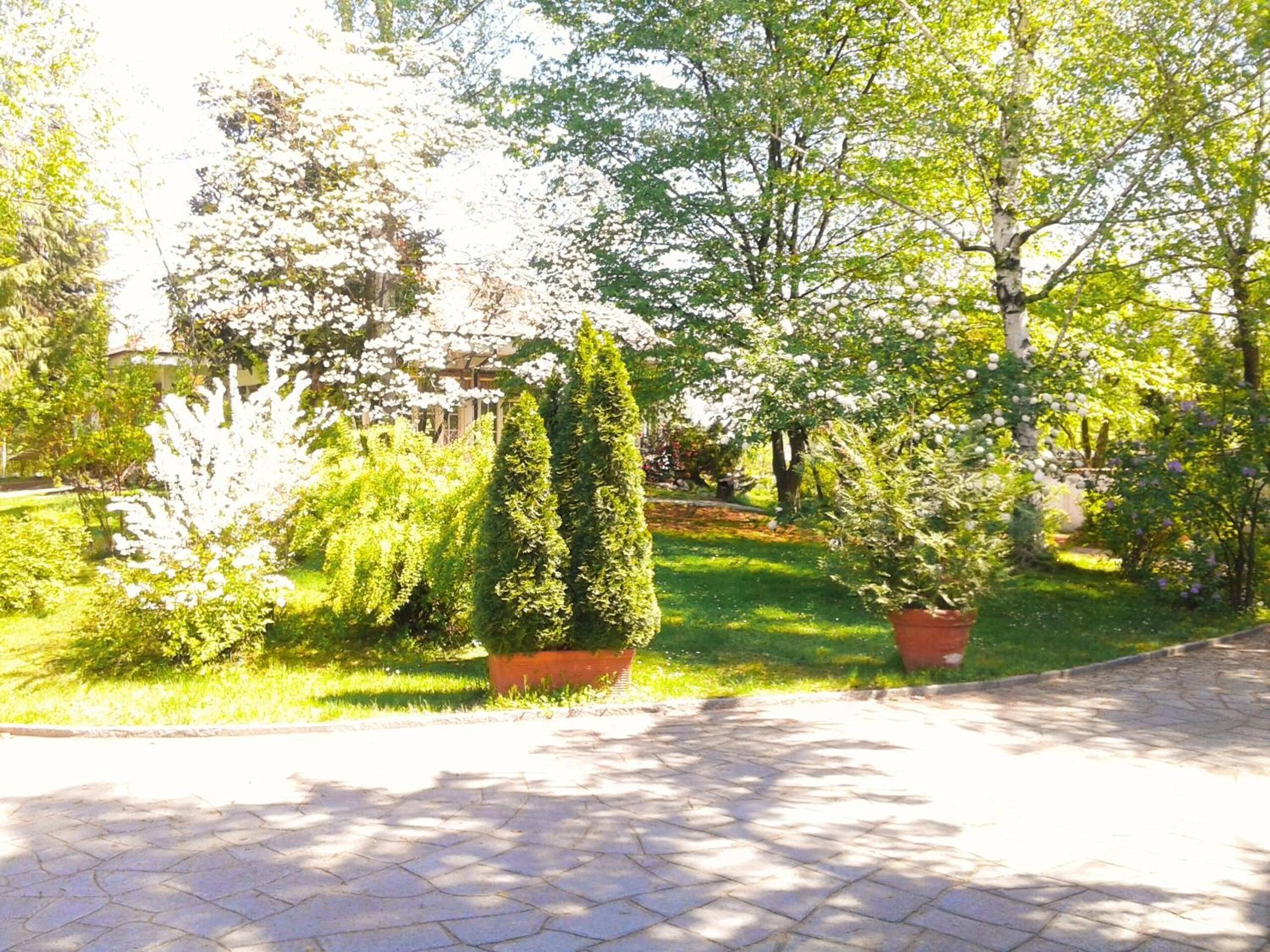 Un sendero pavimentado con plantas en macetas y árboles.