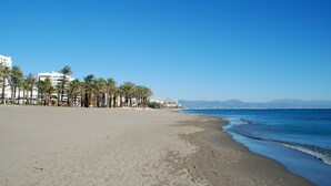 A beach with a clear sky, palm trees, and buildings in the background.