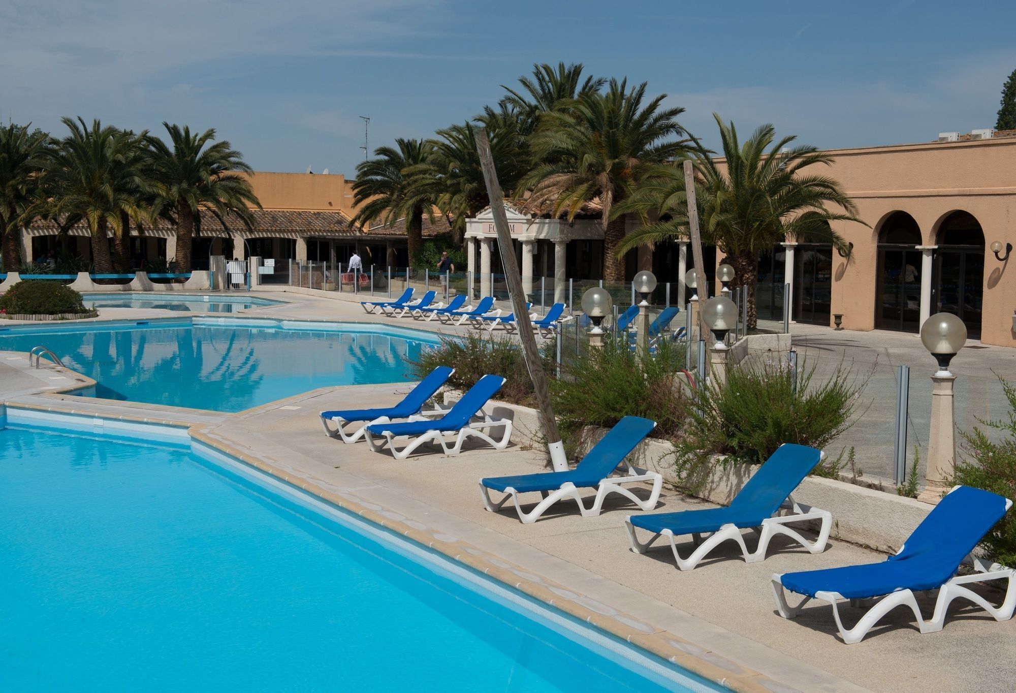 Une piscine avec des chaises longues bleues et des palmiers.
