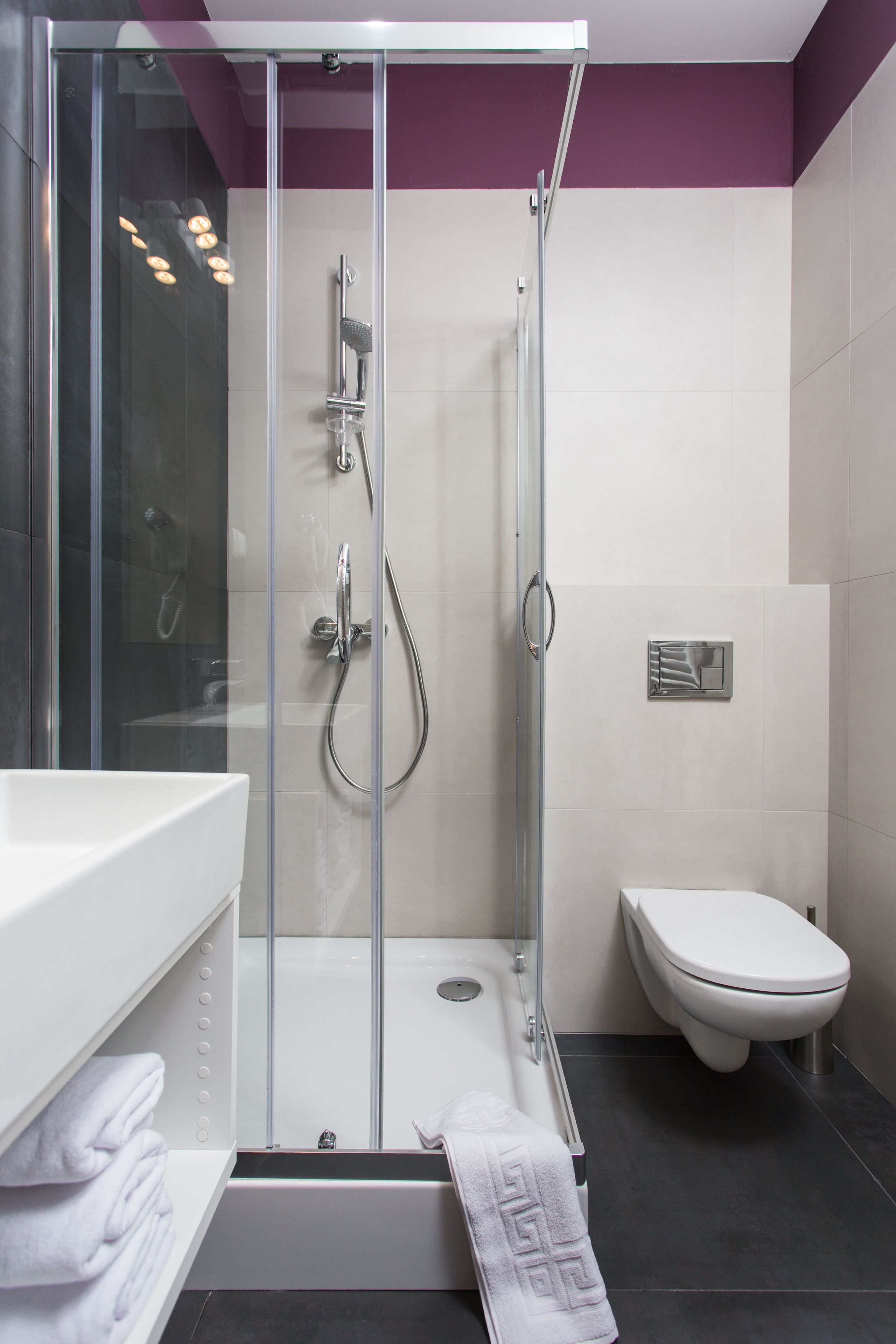 A modern bathroom with a glass-enclosed shower, a white sink, and a toilet.