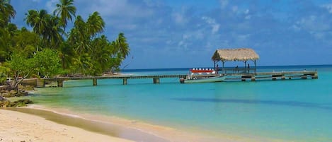 Beach nearby, white sand
