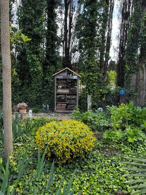 Property grounds - Mas Saint Antoine (Rognonas)