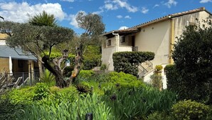 A garden with a stone pathway, various plants, and a building with a tiled roof. - Mas Saint Antoine (Rognonas)