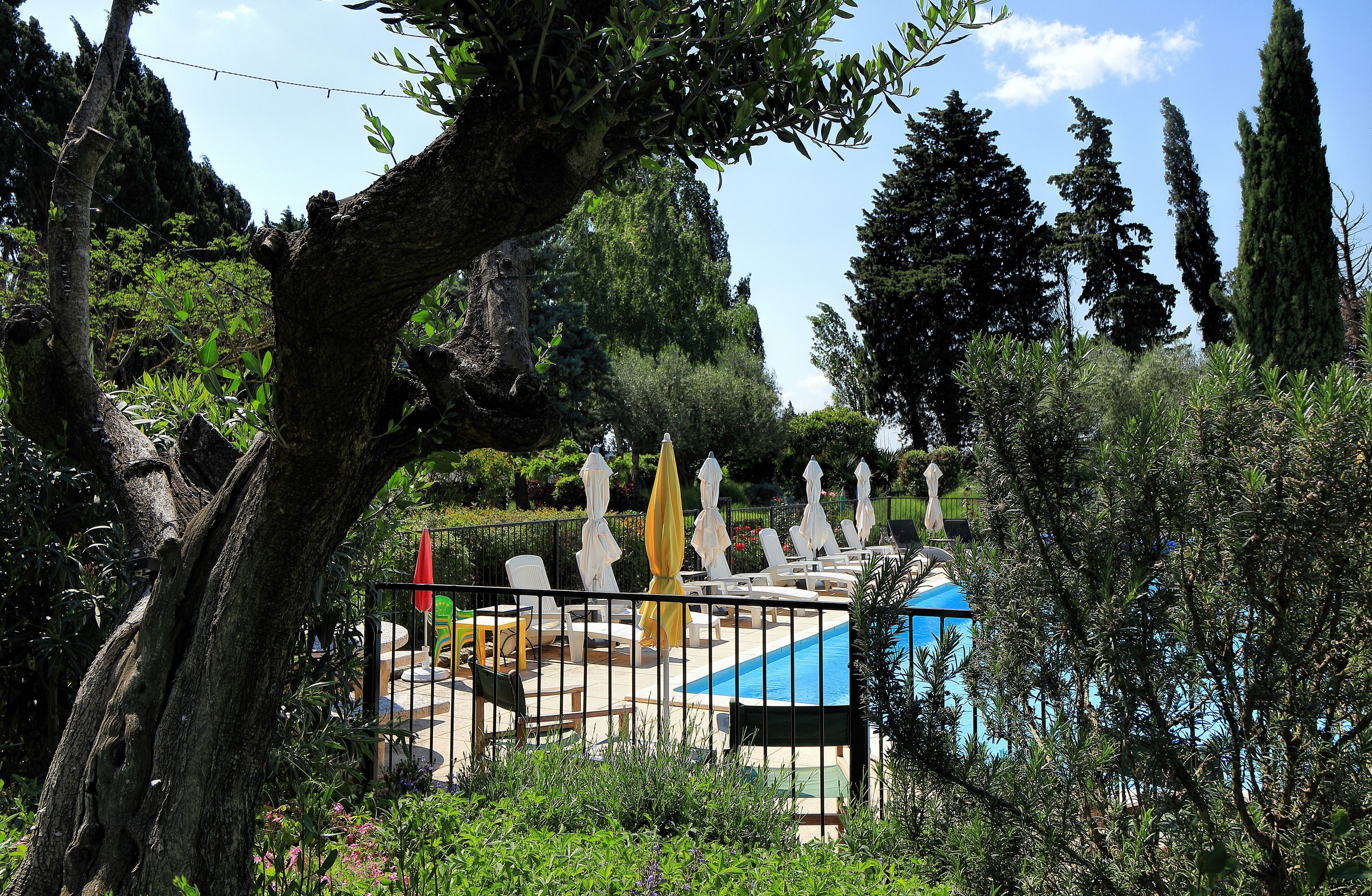 Seasonal outdoor pool, open 9:00 AM to 8:00 PM, pool umbrellas