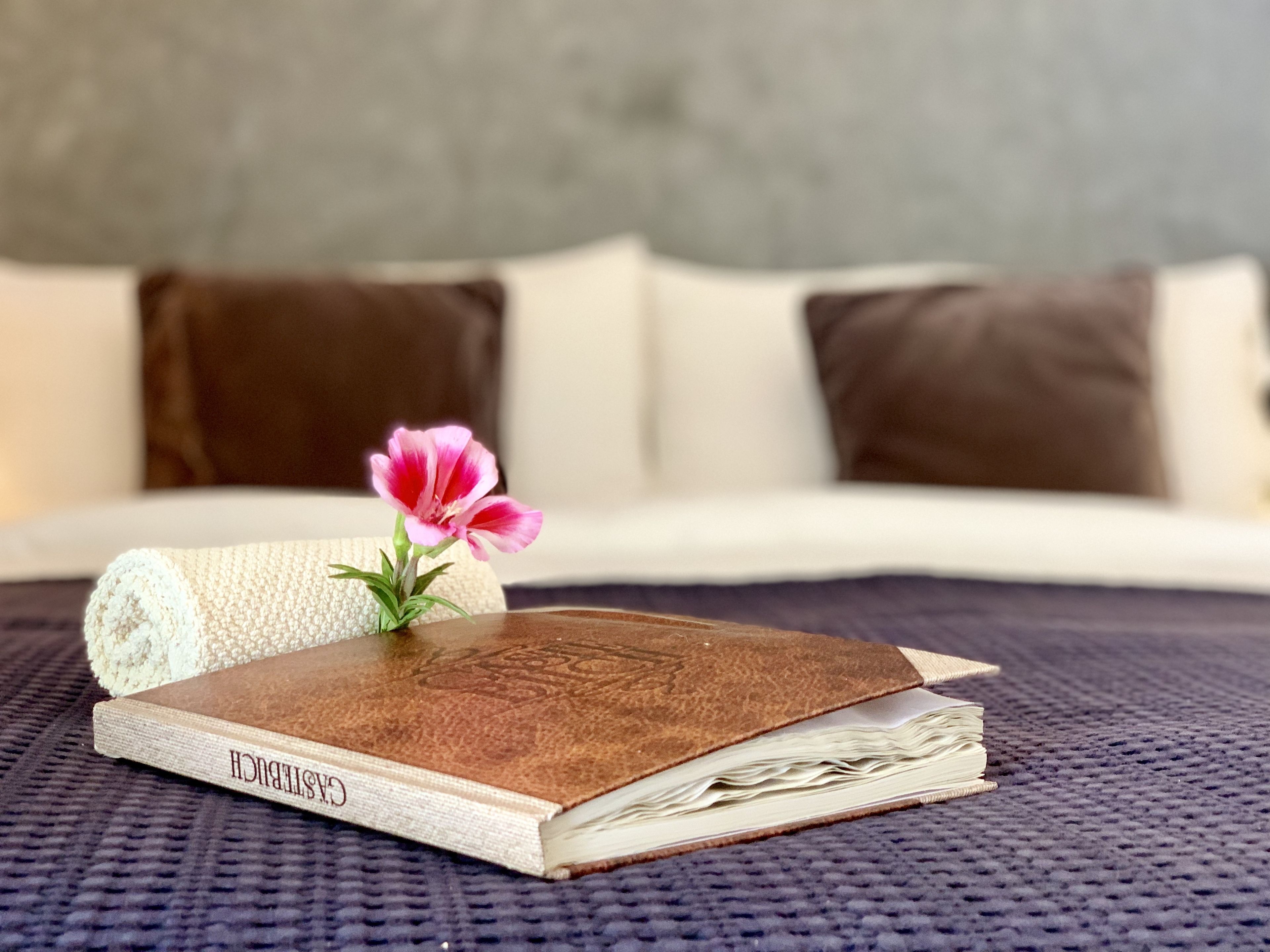 Foto - Riad 11 Zitoune