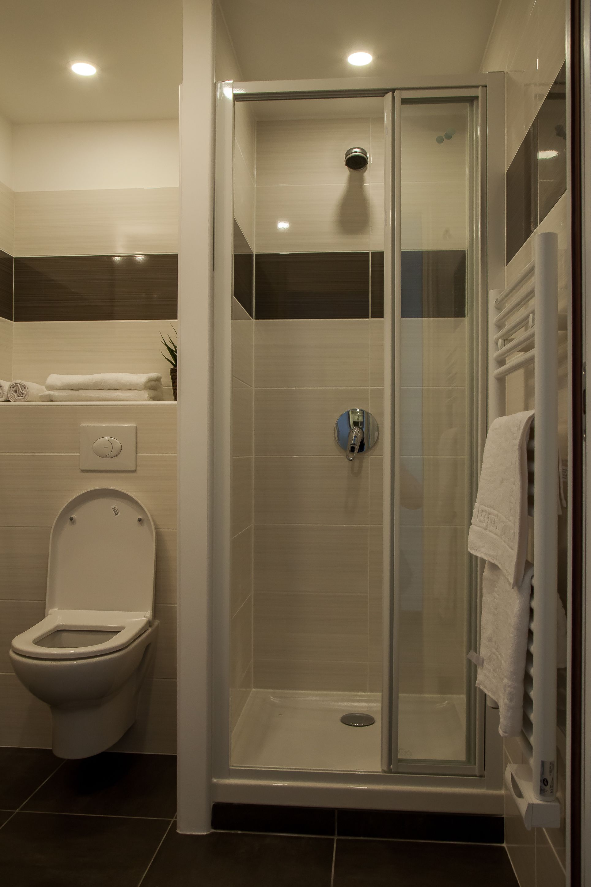 A modern bathroom with a glass-enclosed shower, a toilet, and a towel rack.