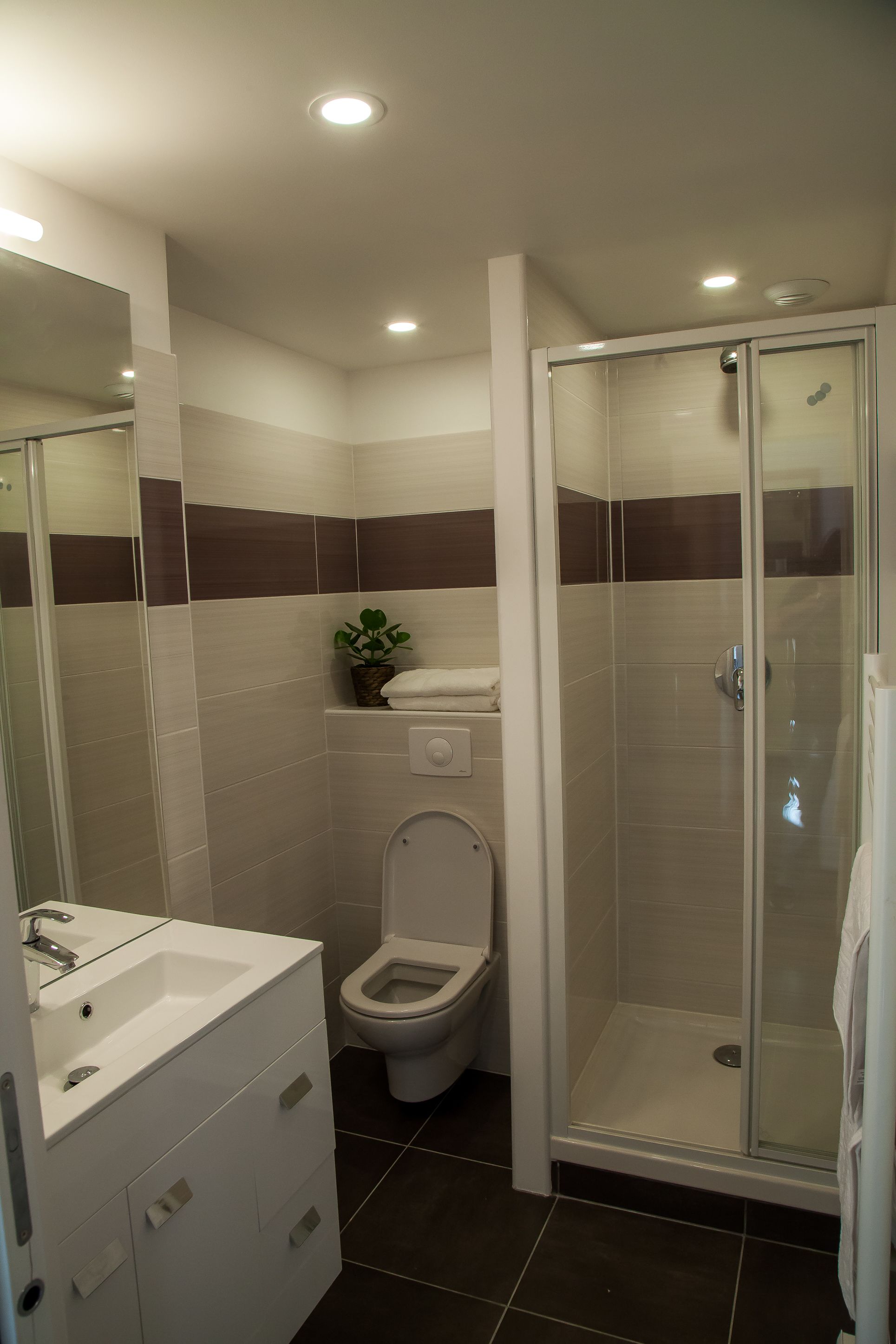 Une salle de bain moderne avec une douche à parois de verre, un lavabo blanc et des toilettes.