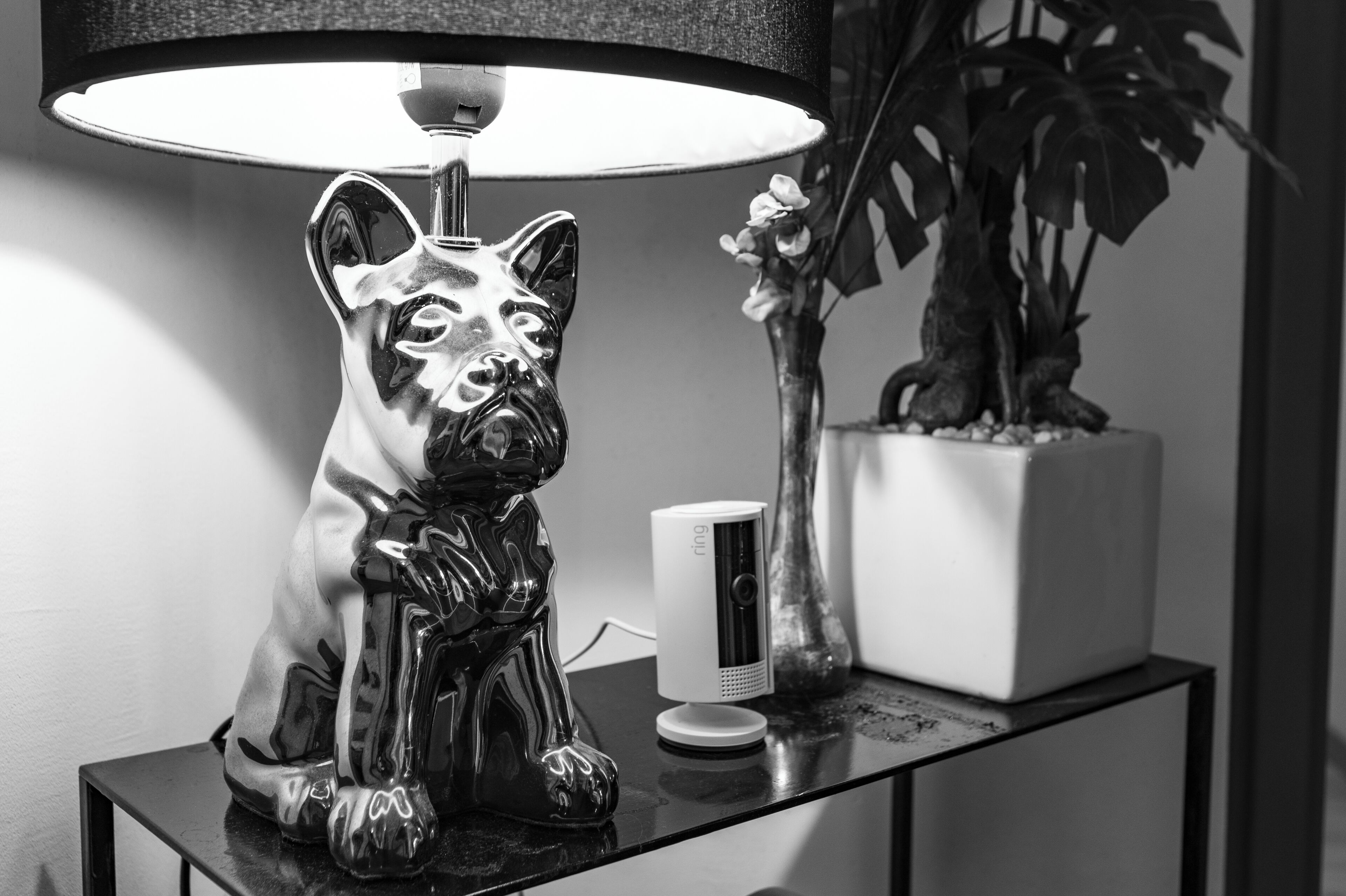 Foto em preto e branco de uma estatueta de cachorro decorativa sobre uma mesa, uma luminária, um pequeno aparelho branco e um vaso com planta.