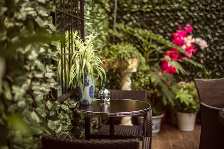 Terraza o patio