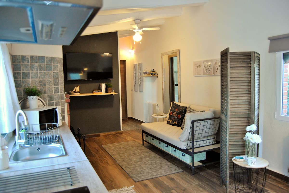 family apartment, 1 bedroom | private kitchen