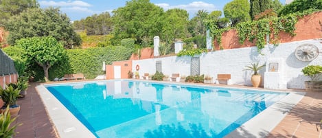 Outdoor pool, sun loungers