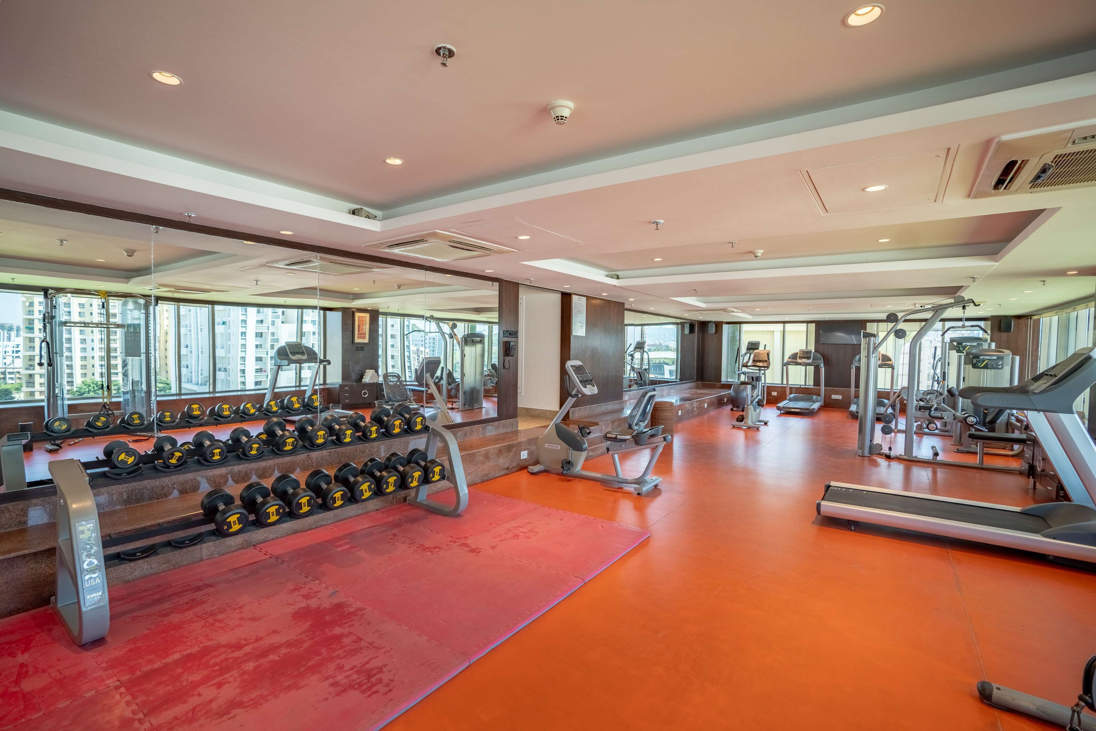 A gym with treadmills, dumbbells, and exercise machines.