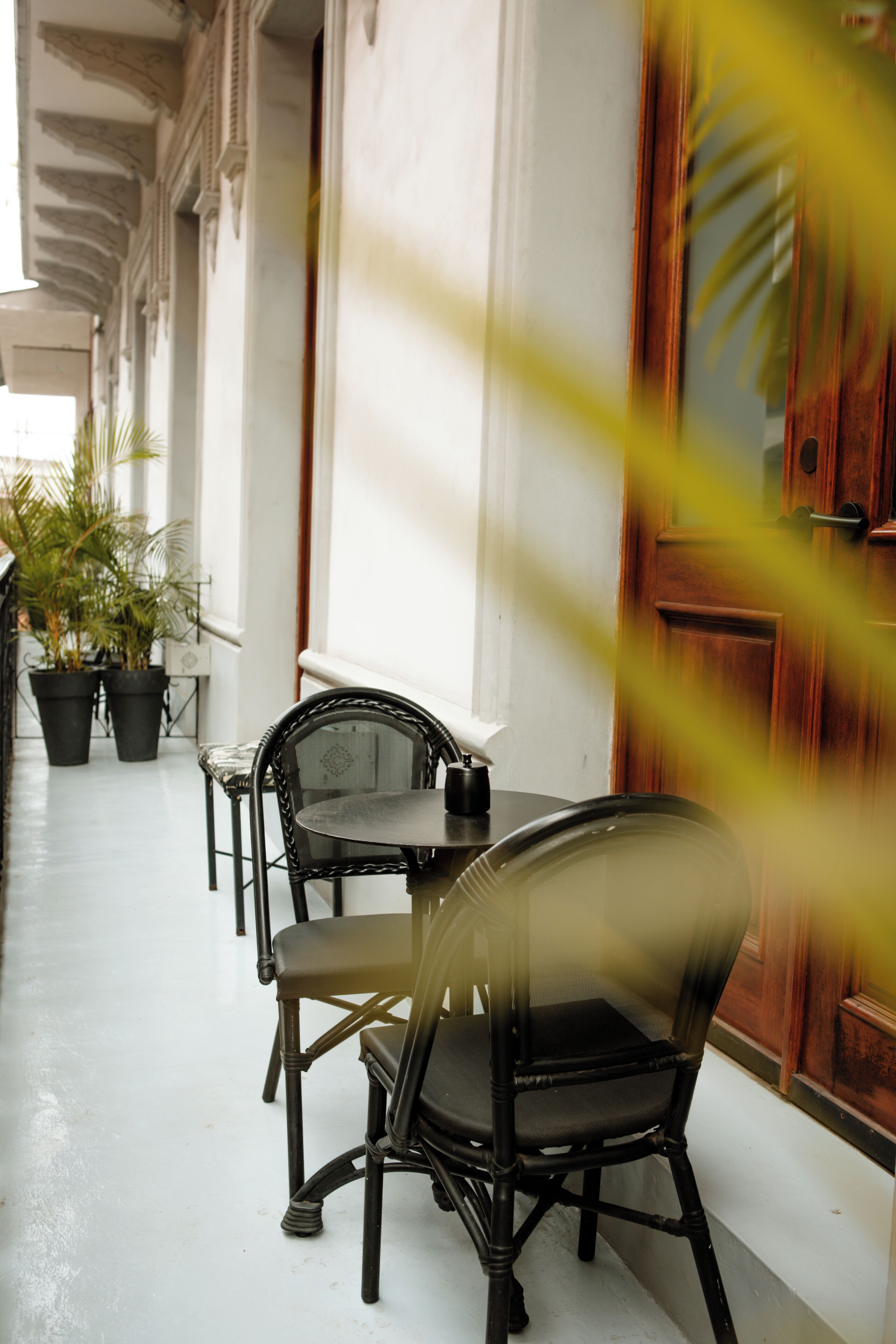 A corridor with a row of potted plants, a wooden door, and a table with chairs.