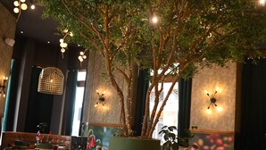 Interior de restaurante con un gran árbol en su interior, mesas, sillas y una exhibición de plantas en macetas.