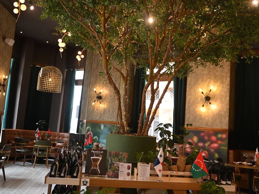 A restaurant interior with a large indoor tree, tables, chairs, and a display of potted plants.