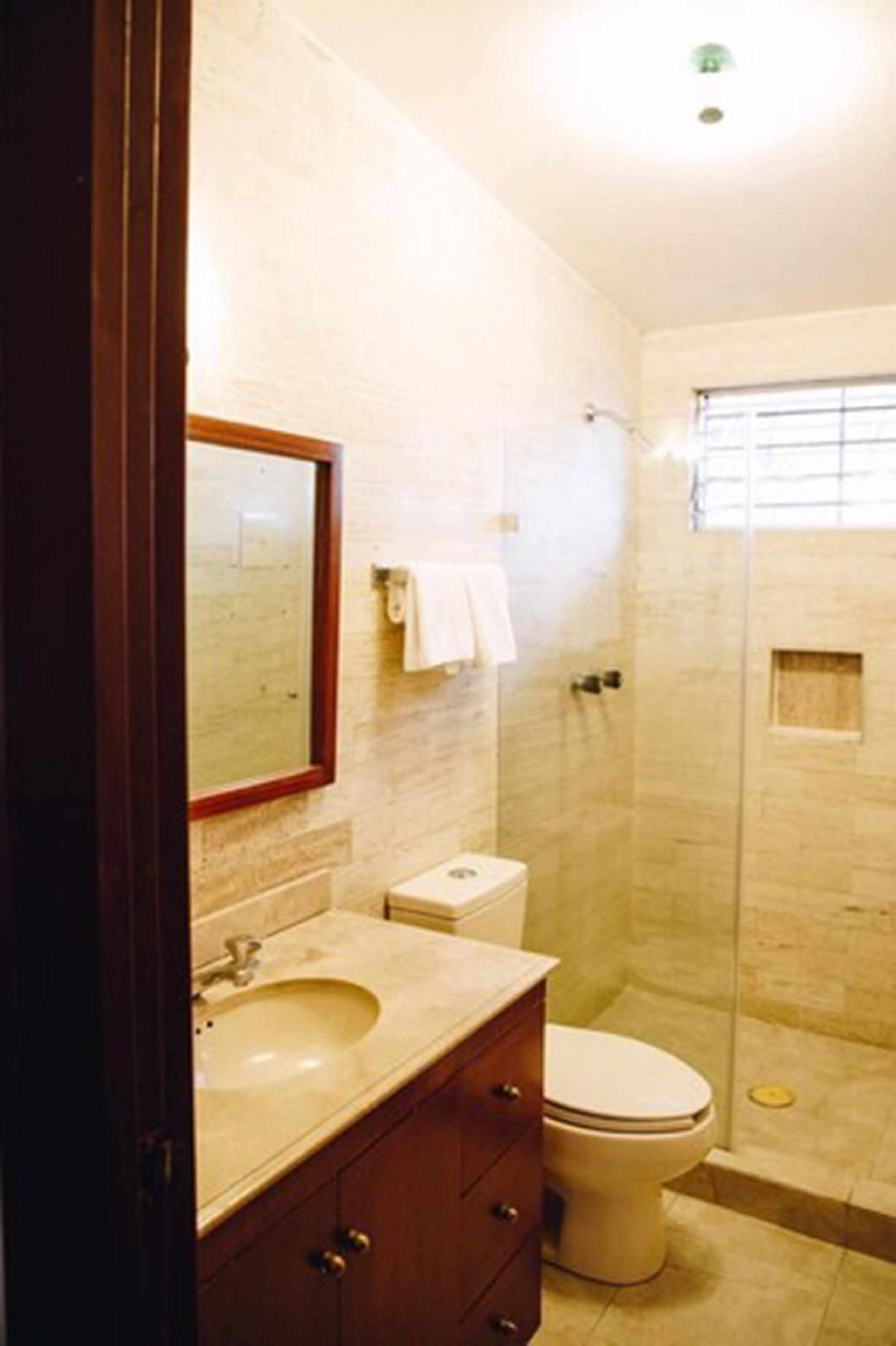 shower, free toiletries, hair dryer, towels