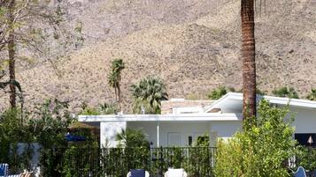 Un patio con una cancha de juego de hojalata, palmeras y una montaña al fondo.
