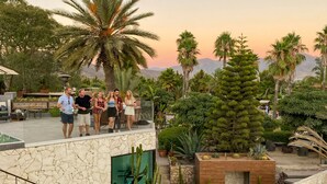 Una terrazza sul tetto con un muro in pietra, palme e una struttura in legno.