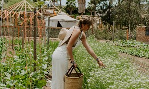 Jardin