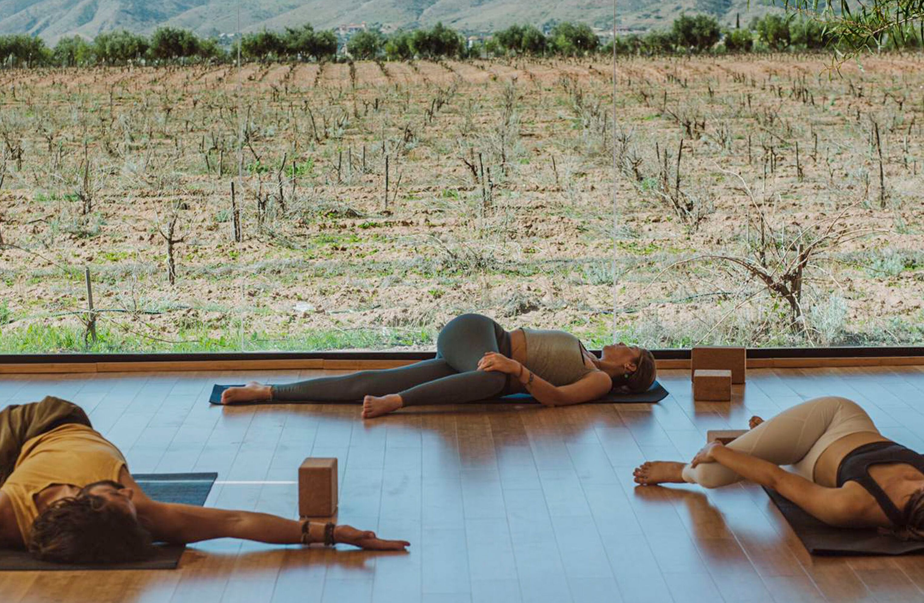 Three people practicing yoga on mats in a room with a large window overlooking a vineyard.