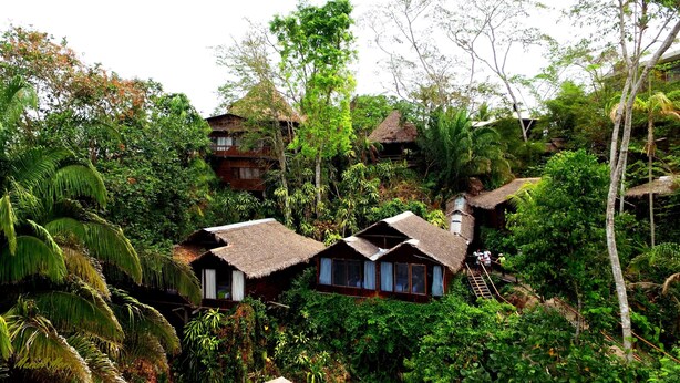 Un complex turístic tropical amb cabanyes de teules encaixades entre vegetació exuberant.