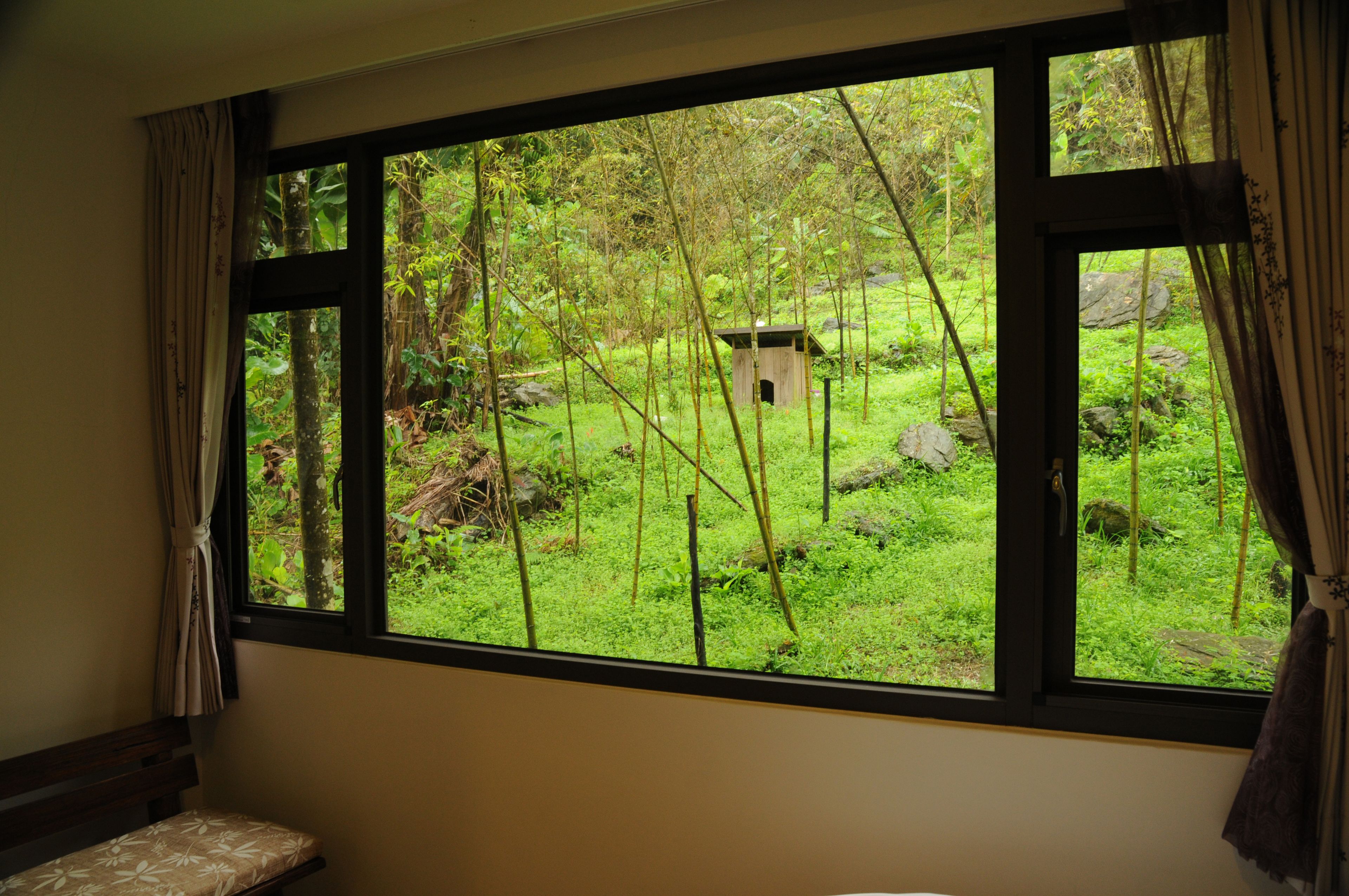 舒适四人房, 山景 | 客房景观