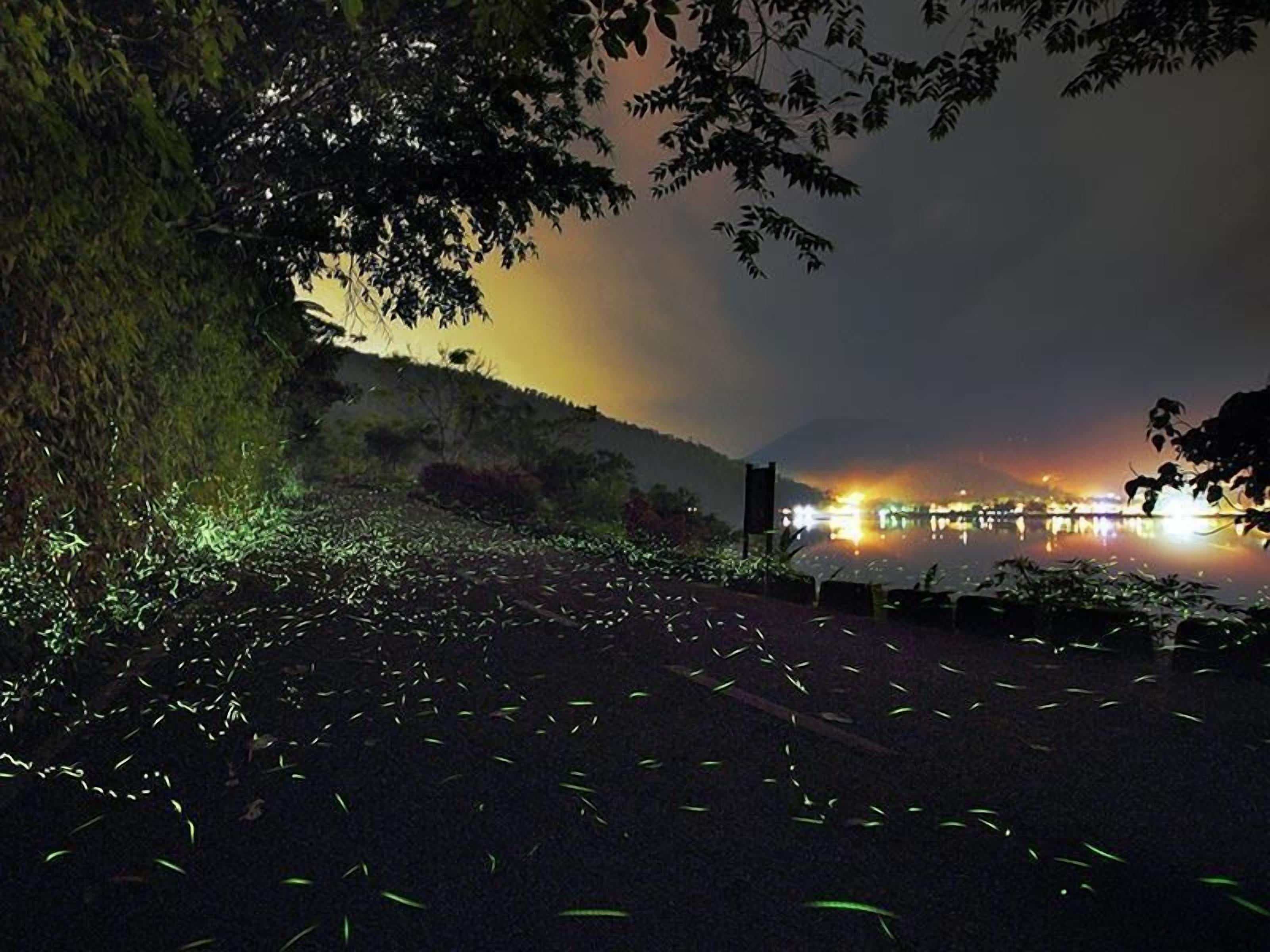 A nighttime scene with a body of water reflecting lights, surrounded by trees and a hilly landscape.