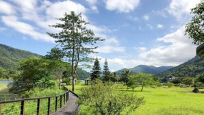 Un camino de madera serpentea por un exuberante paisaje verde con un lago y montañas al fondo.