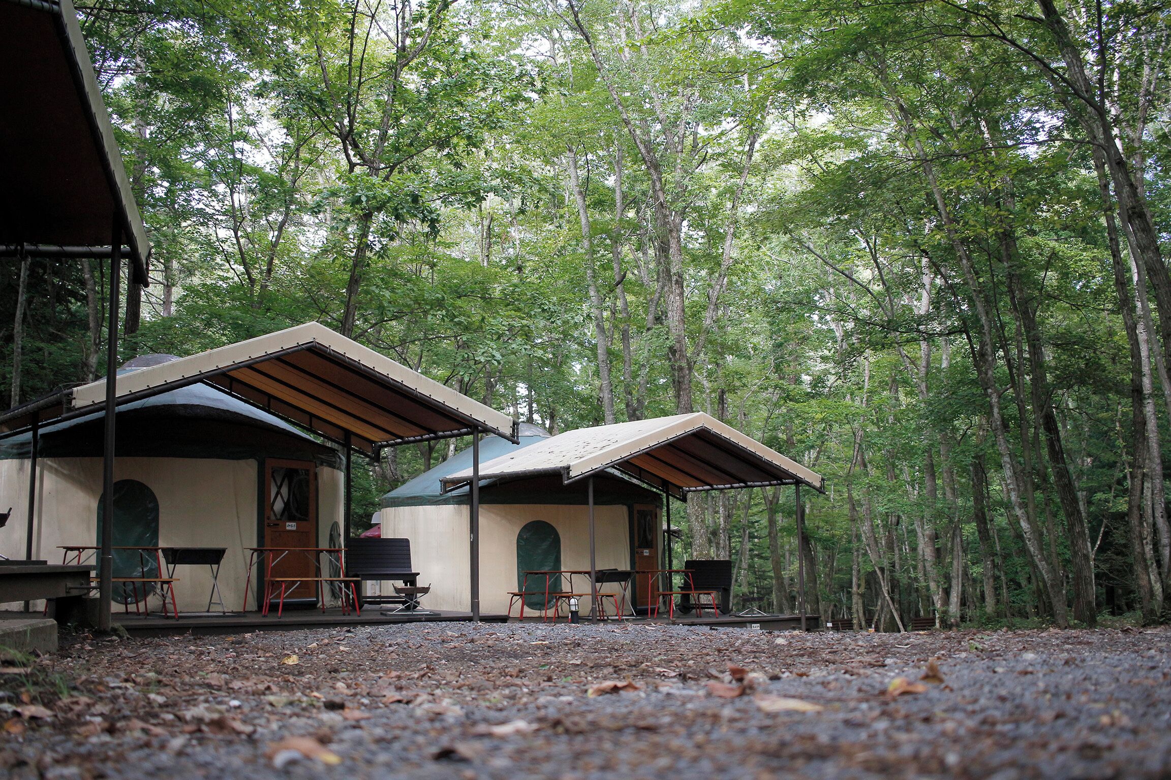 Eine Holzhütte mit überdachter Veranda, Sitzgelegenheit im Freien und Grillplatz, umgeben von einem Wald.