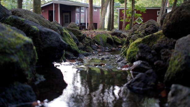 A stream flowing through a forested area with large rocks and moss-covered surfaces.