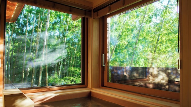 A room with a large window overlooking a bamboo forest.
