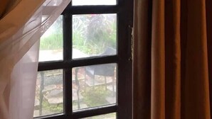 Una ventana con vistas a la vegetación.