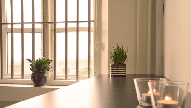 Une pièce avec une fenêtre, une plante en pot, une bougie et une tasse à rayures posée sur une table.