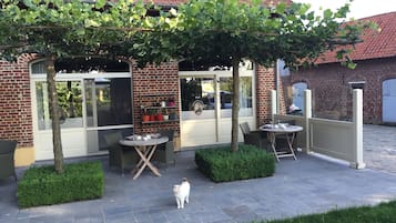 Café da manhã com buffet grátis todos os dias