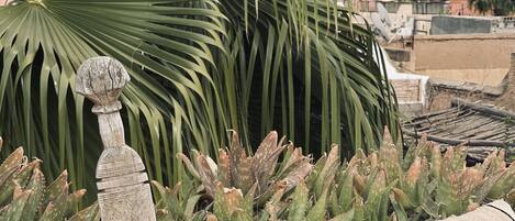 A rooftop garden with a stone sculpture, aloe plants, and a woven cushion.