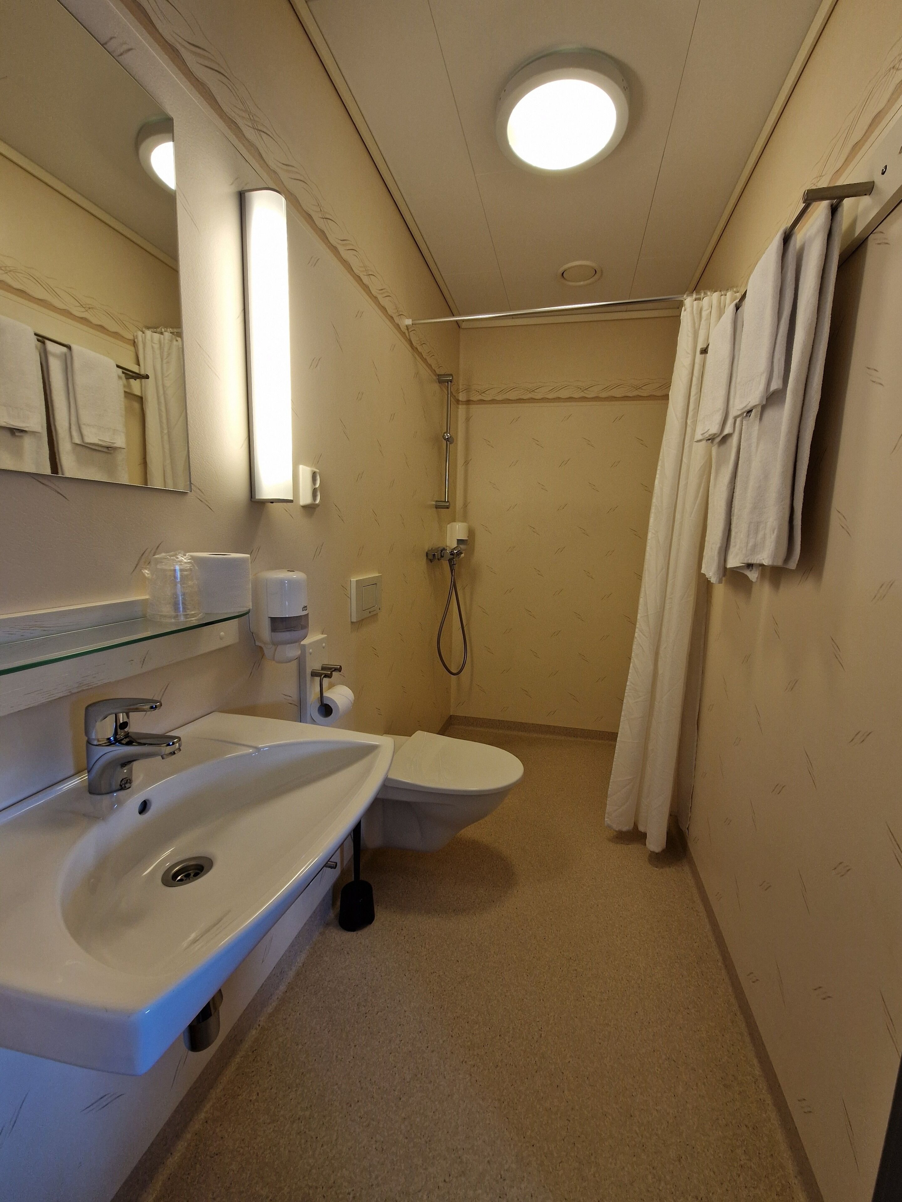 Un baño con lavabo, inodoro y ducha.