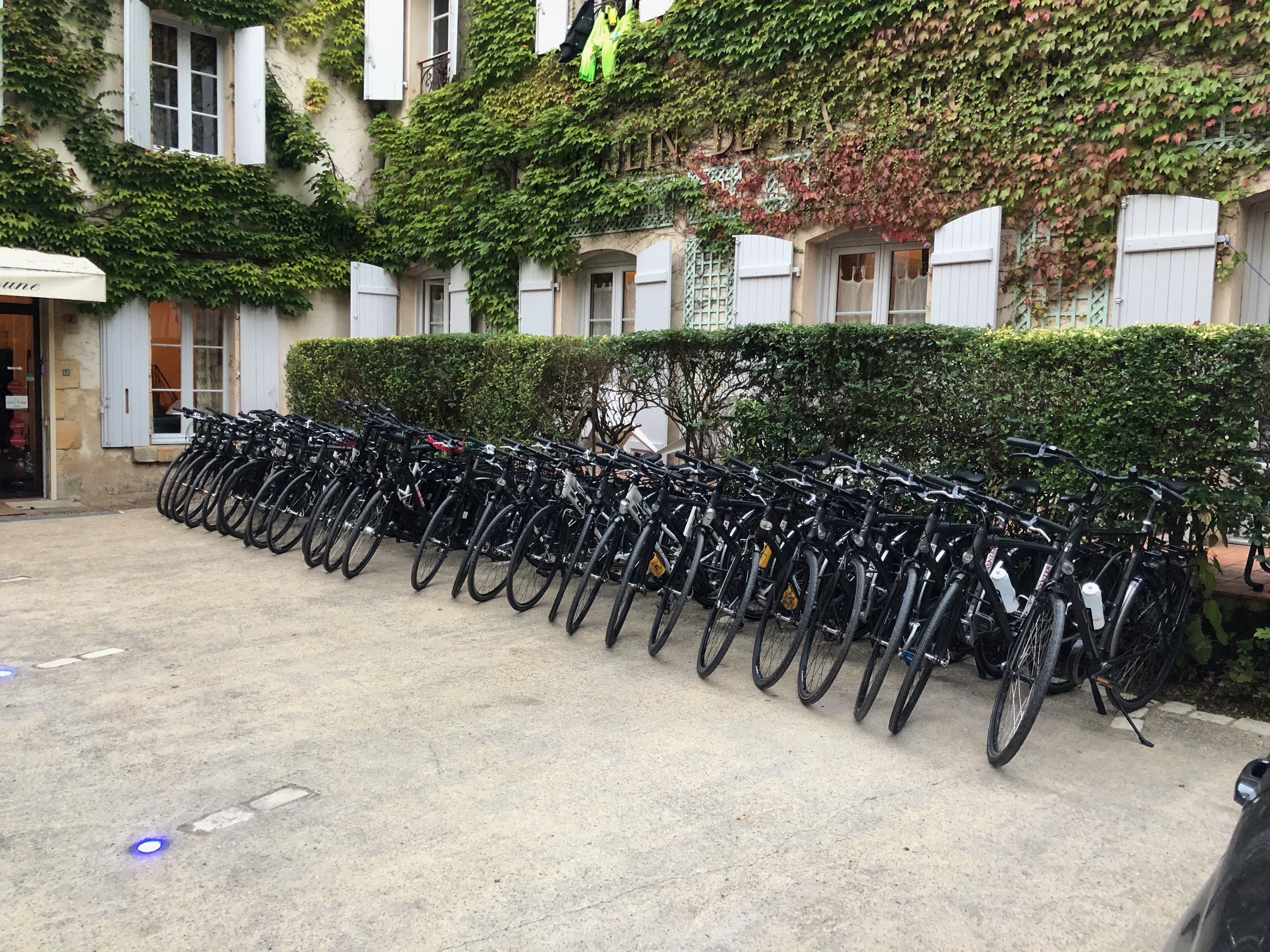 A row of bicycles parked in front of a building with ivy-covered walls and a white awning.