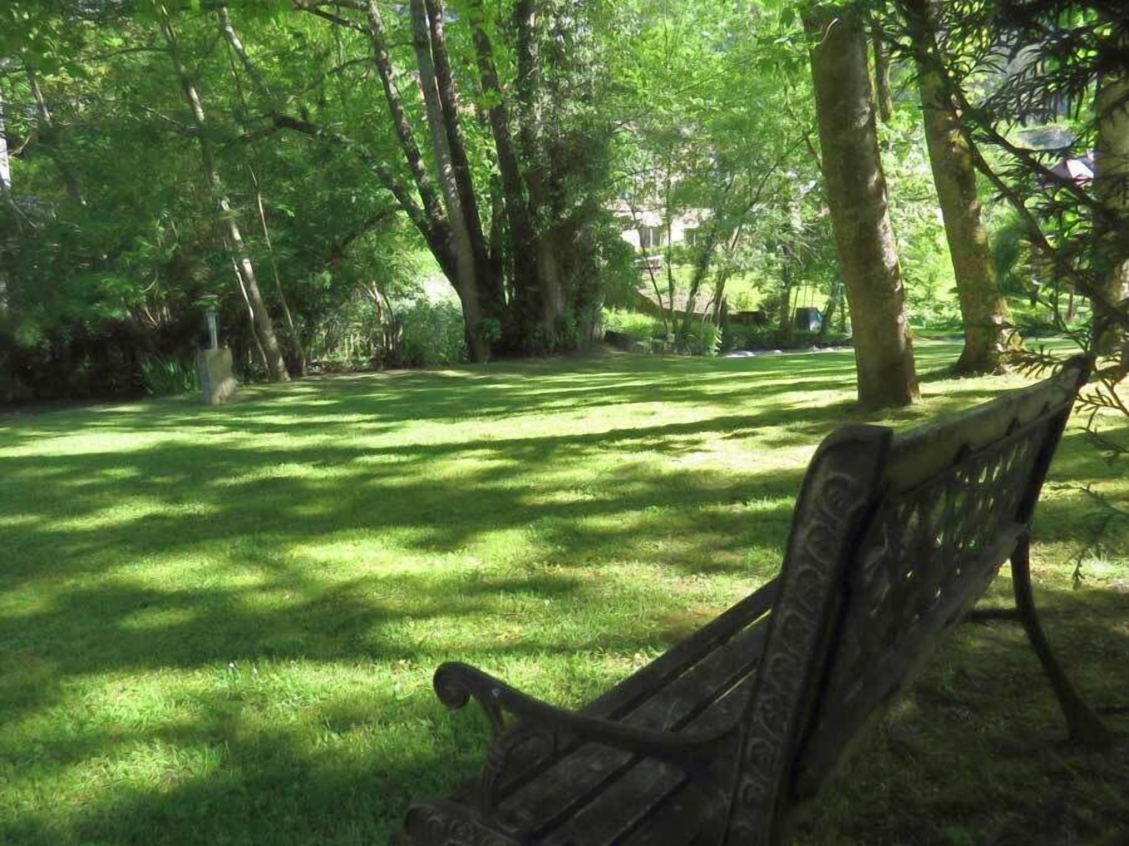 A park with a wooden bench and lush green grass.