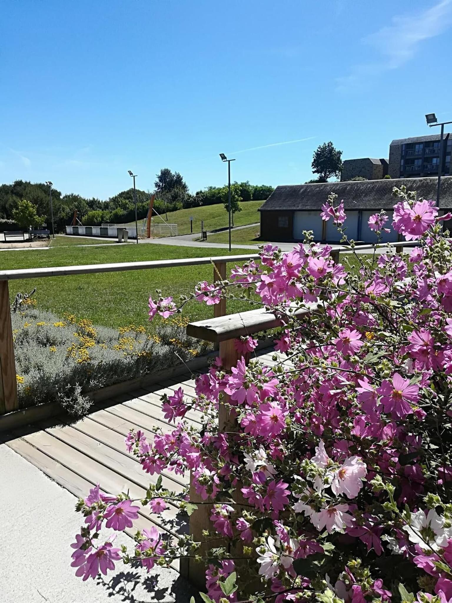 A pathway with a wooden fence and flowering plants.